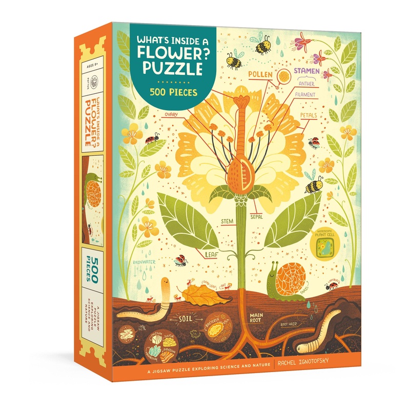 What’s Inside a Flower? Puzzle