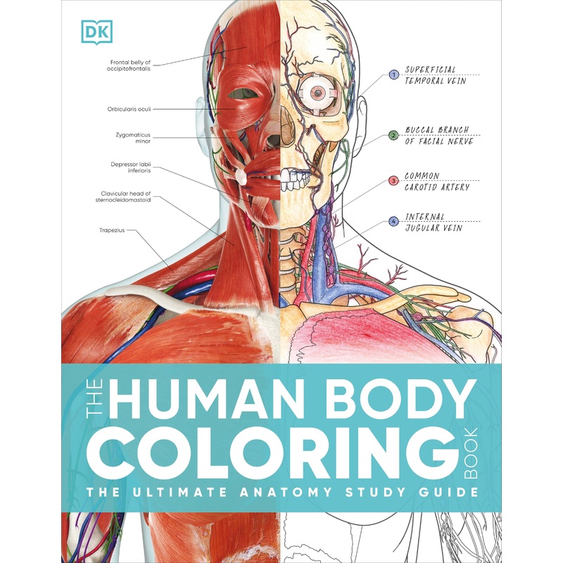 The Human Body Coloring Book