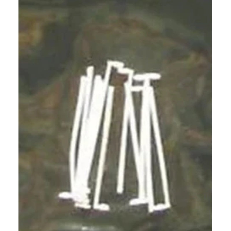 z1:200 Parking Lot Light Wh(12