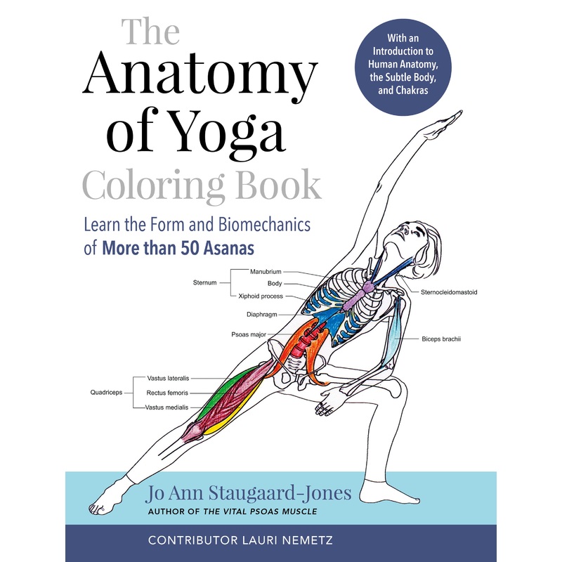 The Anatomy of Yoga Coloring Book
