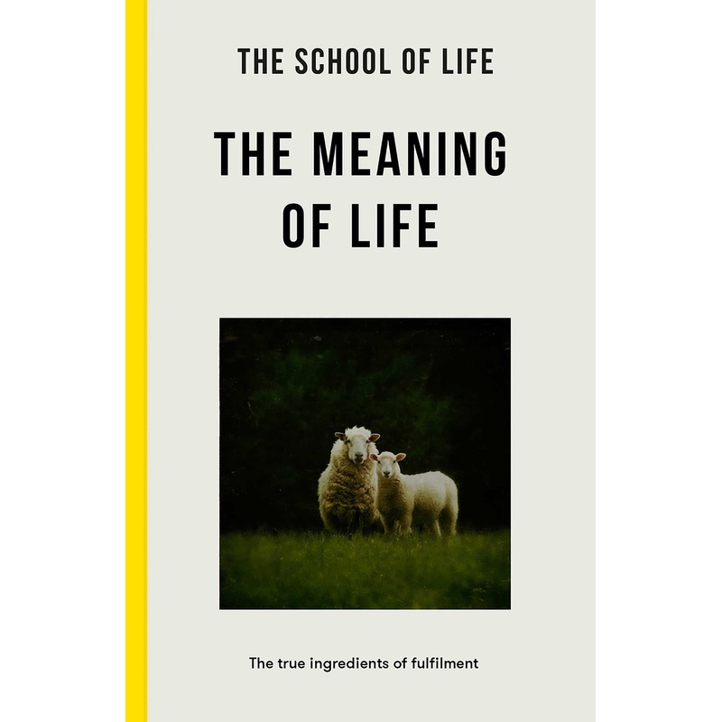 Meaning of Life