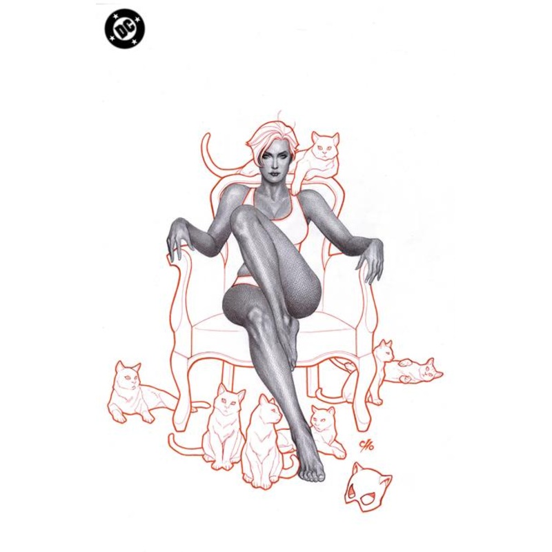 Catwoman #69  B Frank Cho Card Stock Var