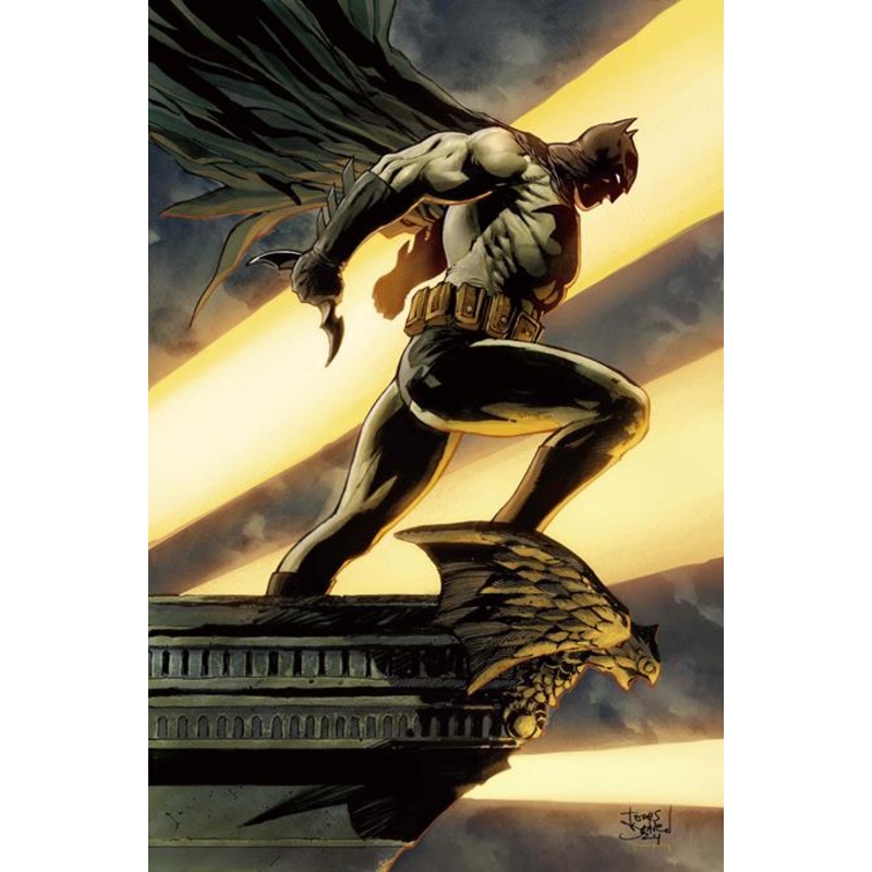 Batman #157  C Tony S Daniel Card Stock Var