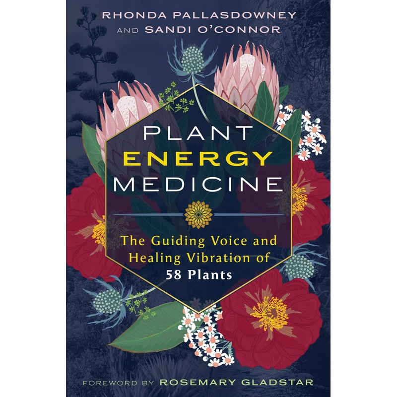Plant Energy Medicine The Guiding Voice and Healing Vibration of 58 Plants