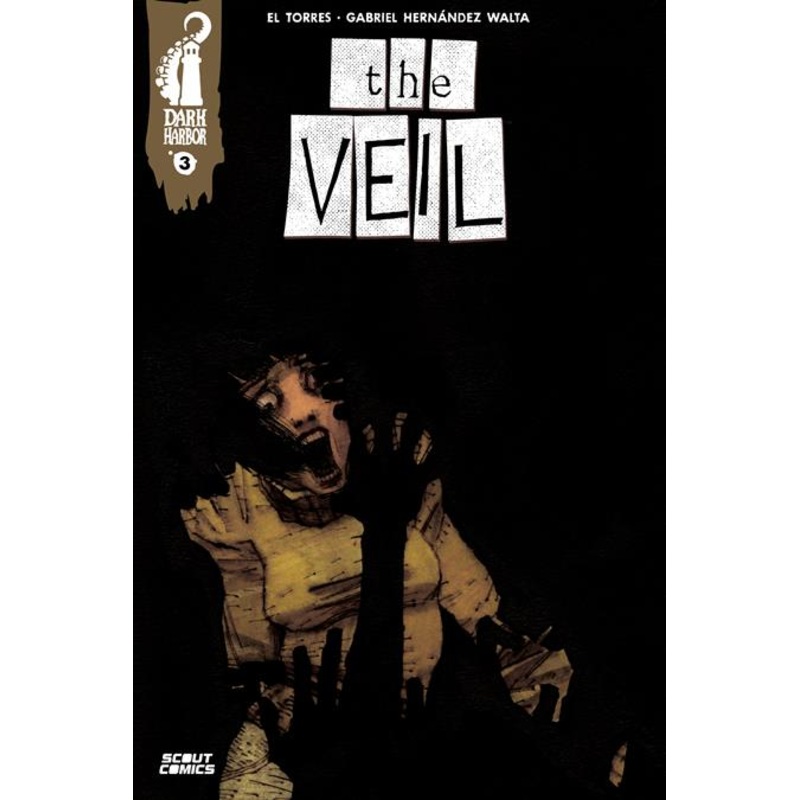 Veil #3 (of 4)  A Gabriel Hernandez Walta (resolicit)