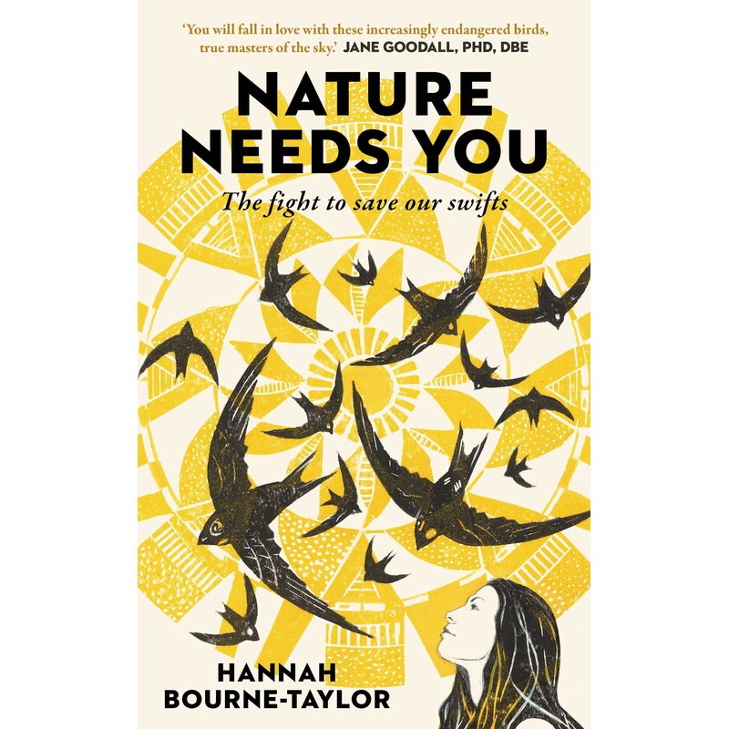 Nature Needs You The Fight to Save Our Swifts