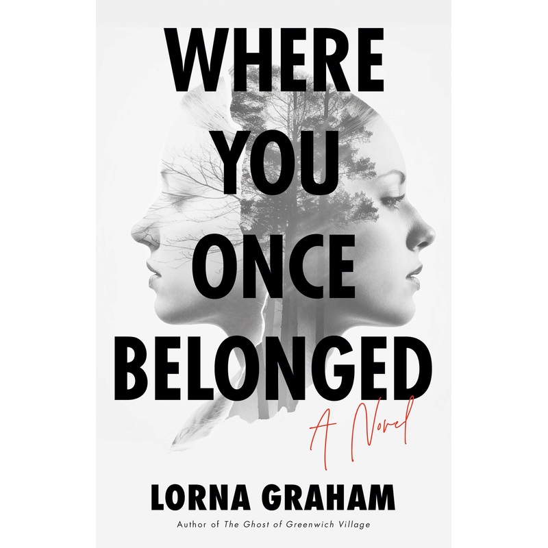 Where You Once Belonged A Novel
