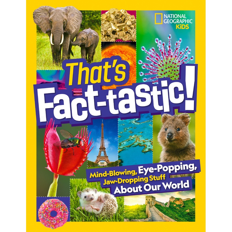 That’s Fact-tastic! | Hardcover