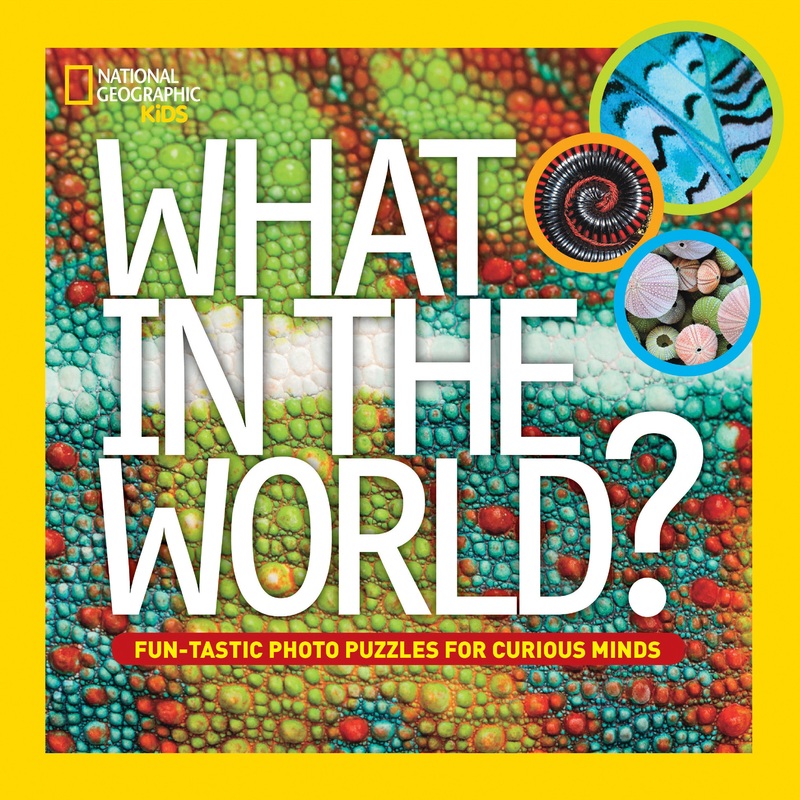 What in the World? | Hardcover