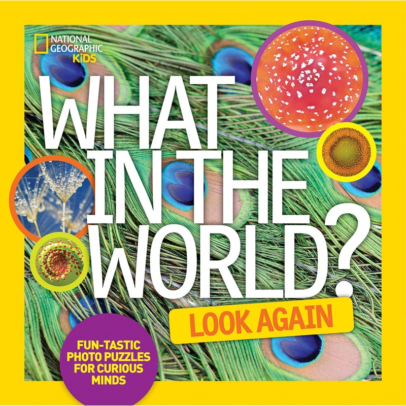 What in the World: Look Again | Hardcover