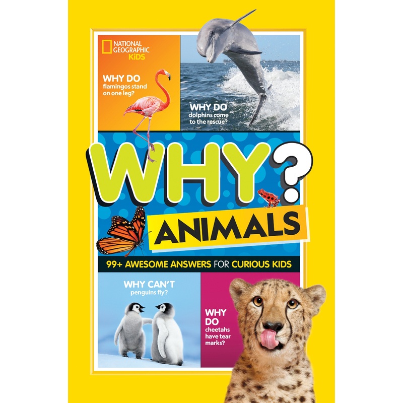Why? Animals