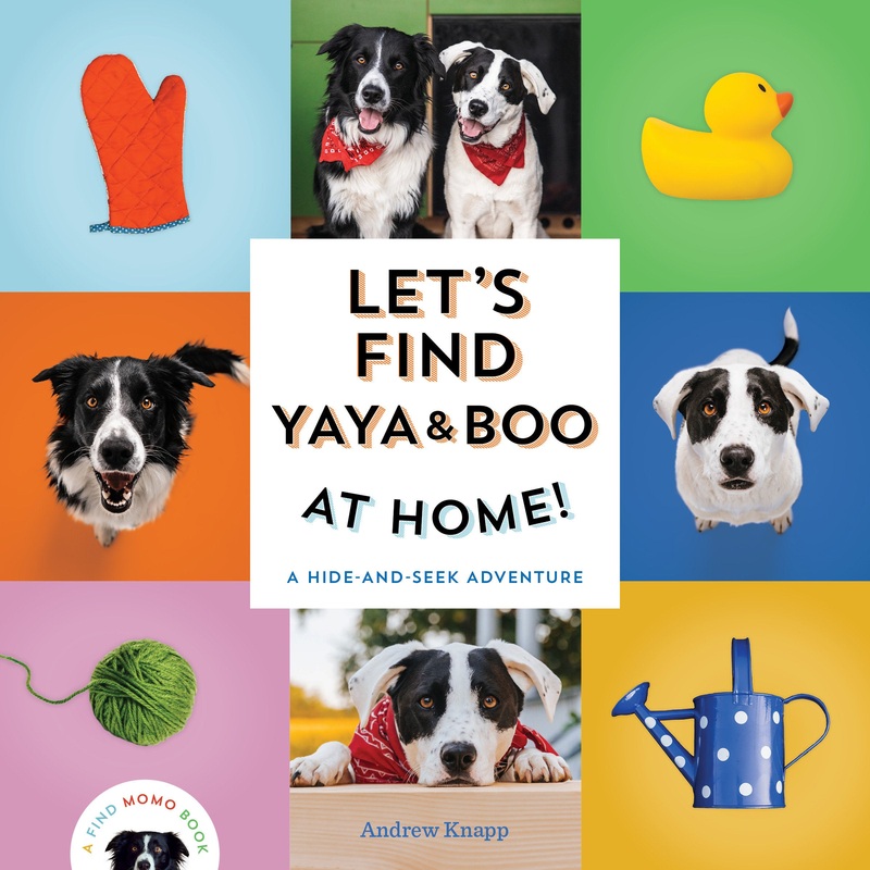 Let’s Find Yaya and Boo at Home!