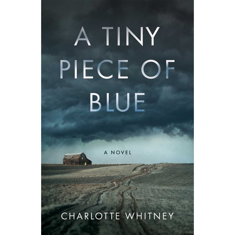 A Tiny Piece of Blue A Novel