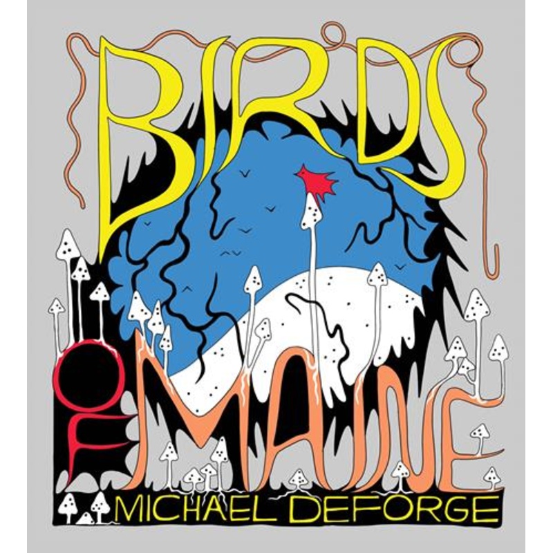 Birds Of Maine  | Hardcover