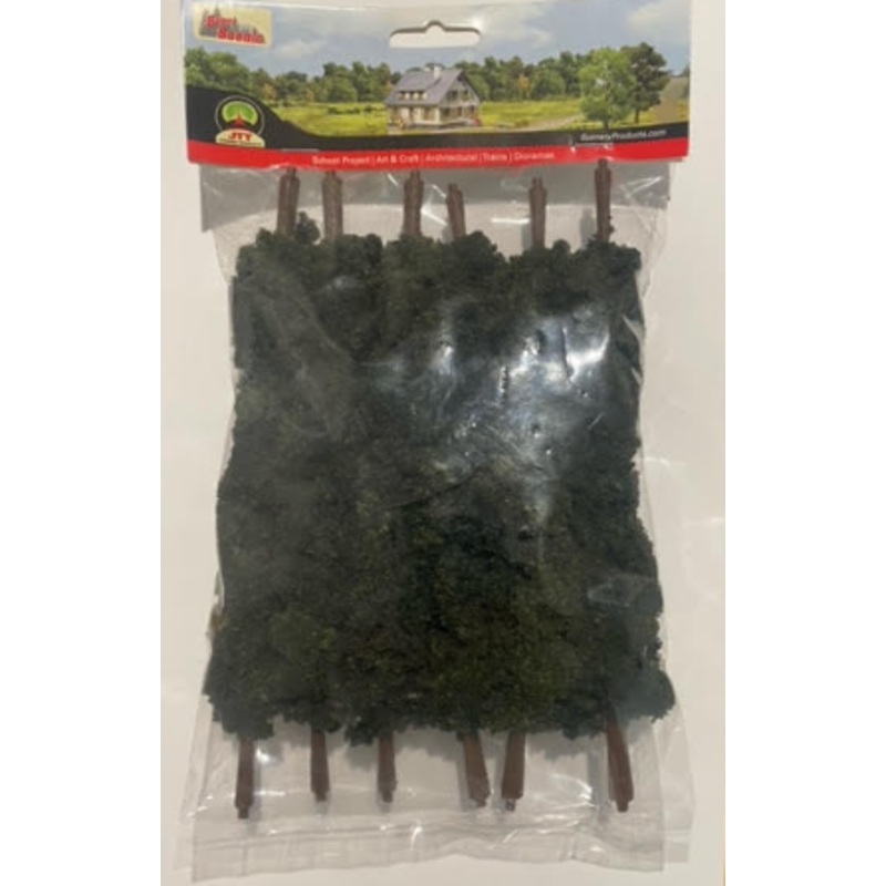 100-150mm Pine Trees (12)
