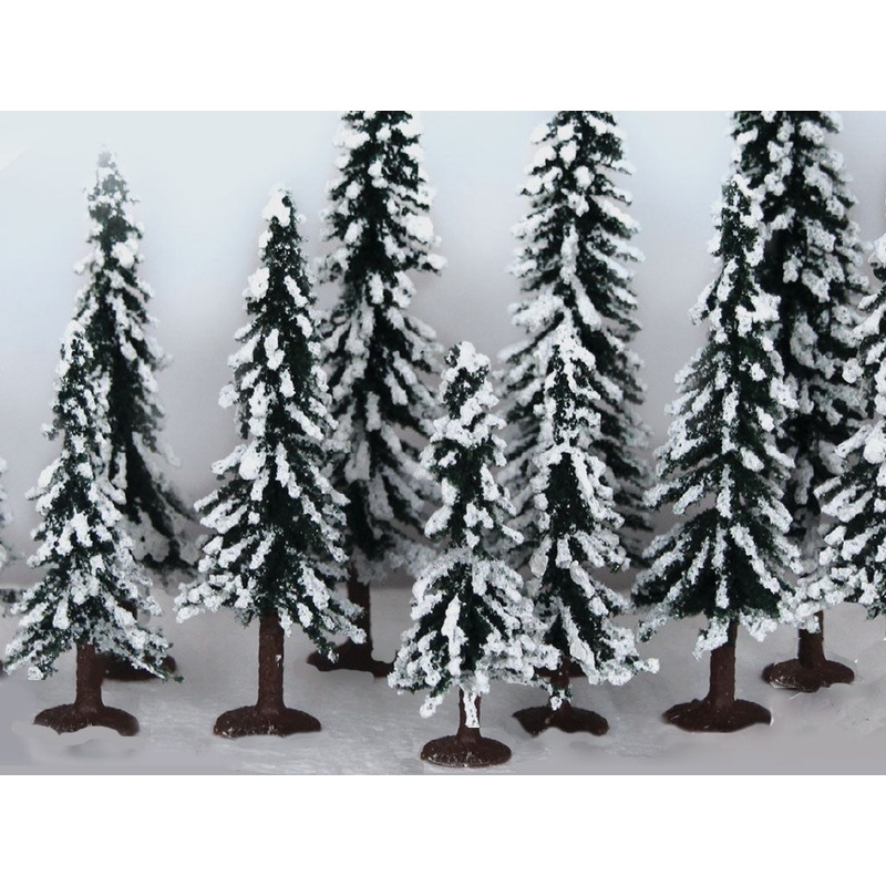 75-150mm Snow EvergreenPine(12