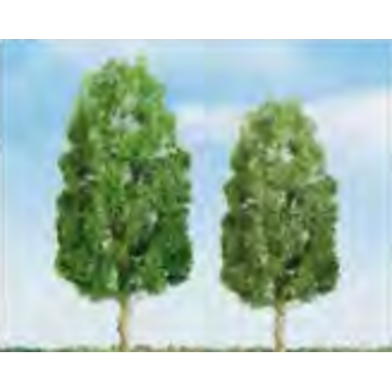 Sycamore Trees 25.4mm (6)