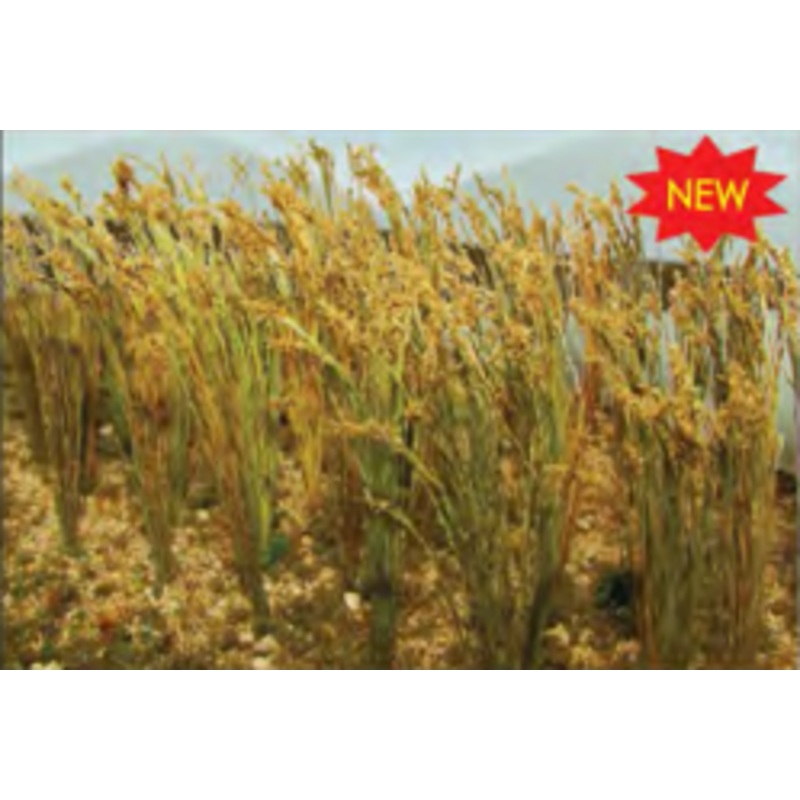 Wheat 2″ (40)